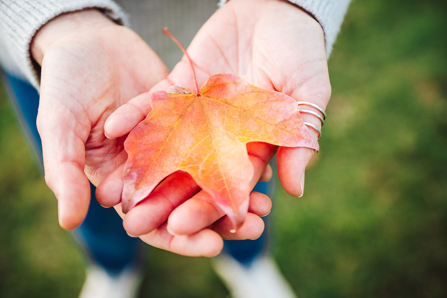 Every Day Should Be a Good Day To Die