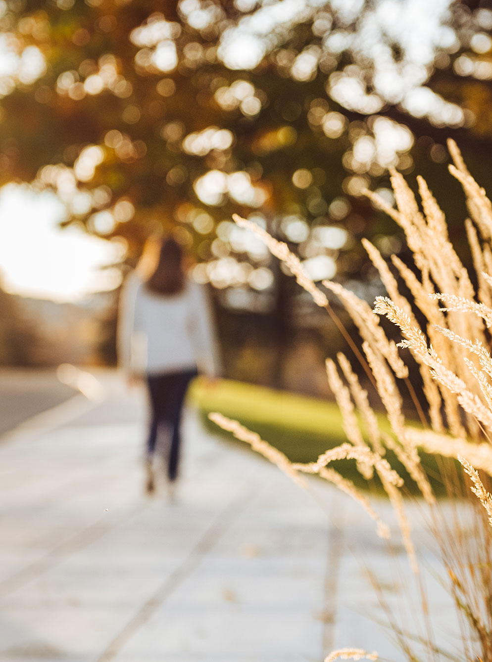 Money, Meaning & Mortality Services